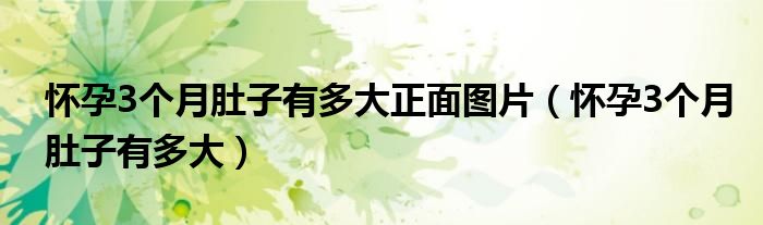怀孕3个月肚子有多大正面图片（怀孕3个月肚子有多大）