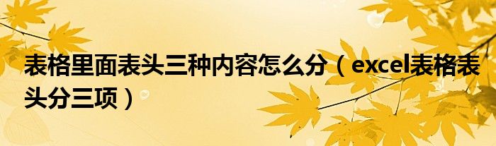 表格里面表头三种内容怎么分（excel表格表头分三项）