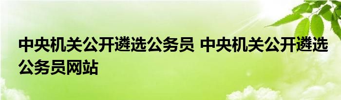 中央机关公开遴选公务员 中央机关公开遴选公务员网站