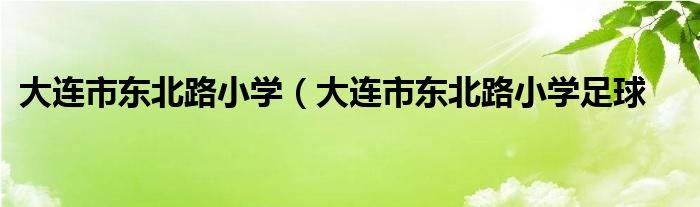 大连市东北路小学（大连市东北路小学足球