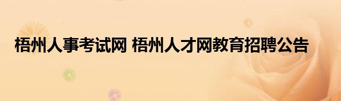 梧州人事考试网 梧州人才网教育招聘公告