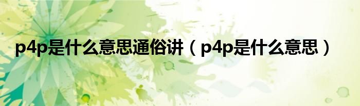 p4p是什么意思通俗讲（p4p是什么意思）