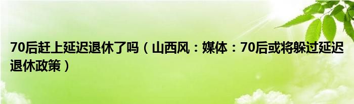 70后赶上延迟退休了吗（山西风：媒体：70后或将躲过延迟退休政策）