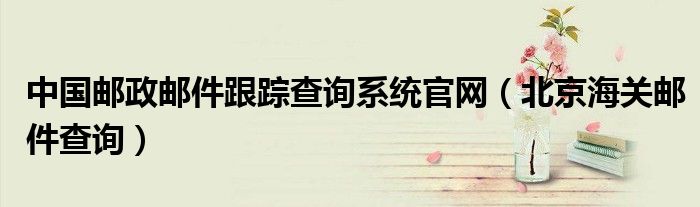 中国邮政邮件跟踪查询系统官网（北京海关邮件查询）