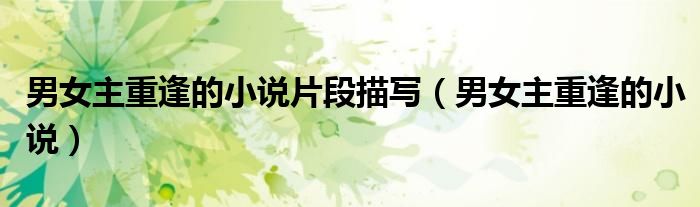 男女主重逢的小说片段描写（男女主重逢的小说）