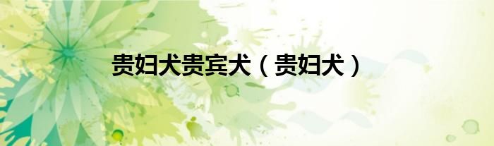 贵妇犬贵宾犬（贵妇犬）