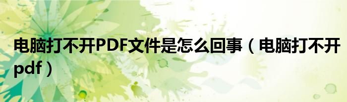 电脑打不开PDF文件是怎么回事（电脑打不开pdf）