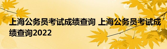 上海公务员考试成绩查询 上海公务员考试成绩查询2022