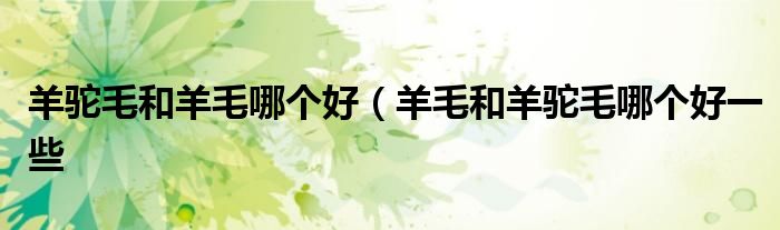 羊驼毛和羊毛哪个好（羊毛和羊驼毛哪个好一些