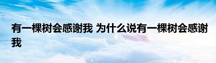 有一棵树会感谢我 为什么说有一棵树会感谢我