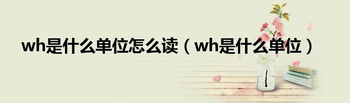 wh是什么单位怎么读（wh是什么单位）