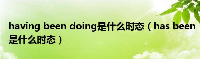 having been doing是什么时态（has been是什么时态）