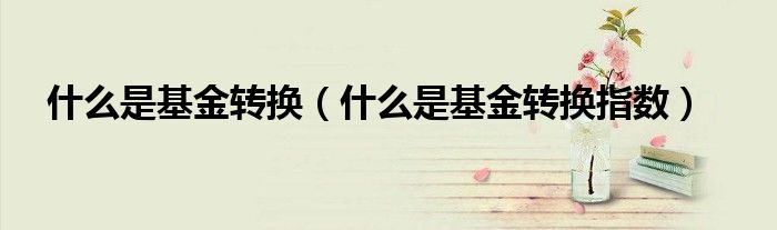 什么是基金转换（什么是基金转换指数）