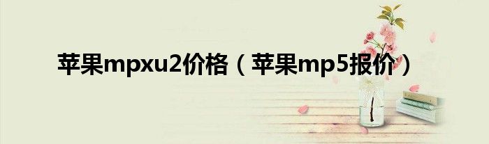 苹果mpxu2价格（苹果mp5报价）