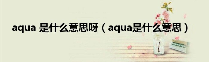 aqua 是什么意思呀（aqua是什么意思）