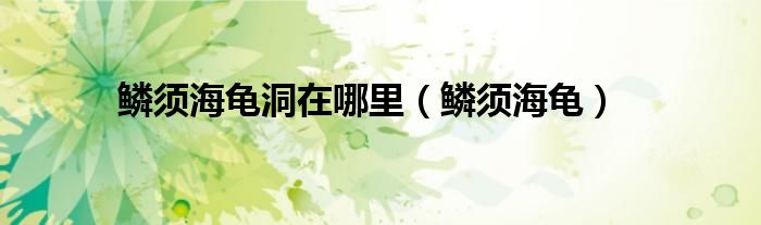 鳞须海龟洞在哪里（鳞须海龟）