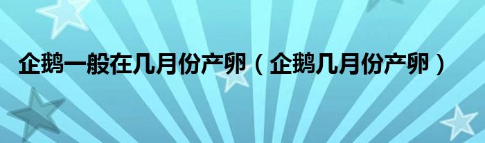 企鹅一般在几月份产卵（企鹅几月份产卵）
