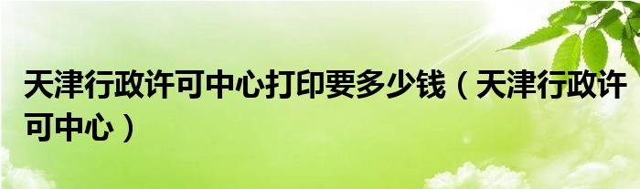 天津行政许可中心打印要多少钱（天津行政许可中心）