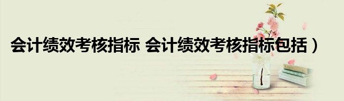 会计绩效考核指标 会计绩效考核指标包括）