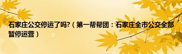 石家庄公交停运了吗?（第一帮帮团：石家庄全市公交全部暂停运营）