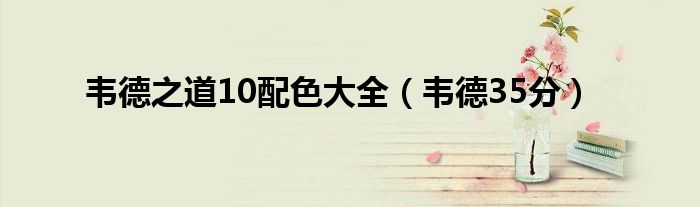 韦德之道10配色大全（韦德35分）