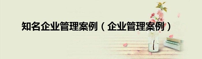 知名企业管理案例（企业管理案例）