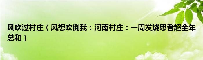 风吹过村庄（风想吹倒我：河南村庄：一周发烧患者超全年总和）
