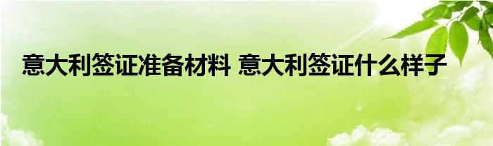 意大利签证准备材料 意大利签证什么样子