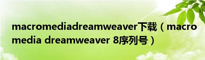 macromediadreamweaver下载（macromedia dreamweaver 8序列号）