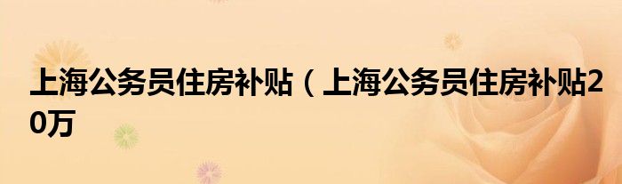 上海公务员住房补贴（上海公务员住房补贴20万