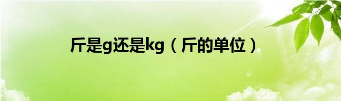 斤是g还是kg（斤的单位）