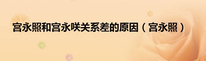 宫永照和宫永咲关系差的原因（宫永照）