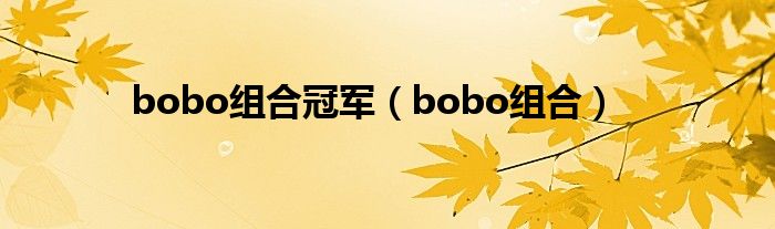 bobo组合冠军（bobo组合）