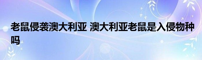 老鼠侵袭澳大利亚 澳大利亚老鼠是入侵物种吗