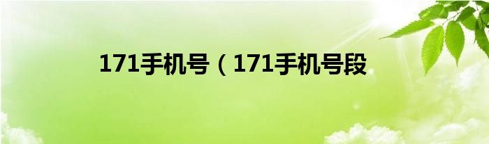 171手机号（171手机号段
