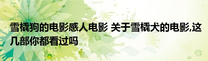 雪橇狗的电影感人电影 关于雪橇犬的电影,这几部你都看过吗