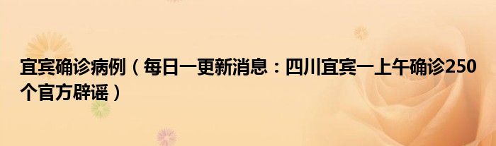 宜宾确诊病例（每日一更新消息：四川宜宾一上午确诊250个官方辟谣）