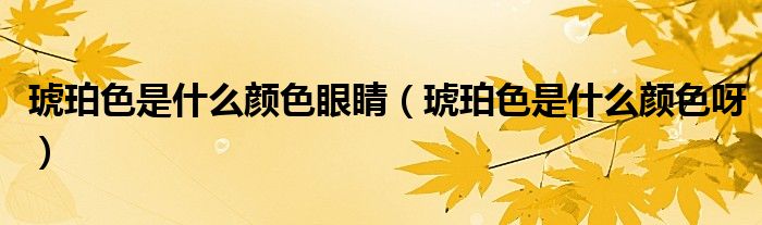 琥珀色是什么颜色眼睛（琥珀色是什么颜色呀）