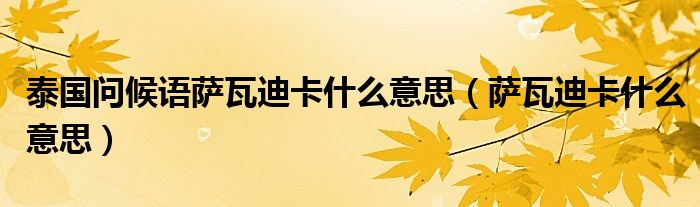 泰国问候语萨瓦迪卡什么意思（萨瓦迪卡什么意思）