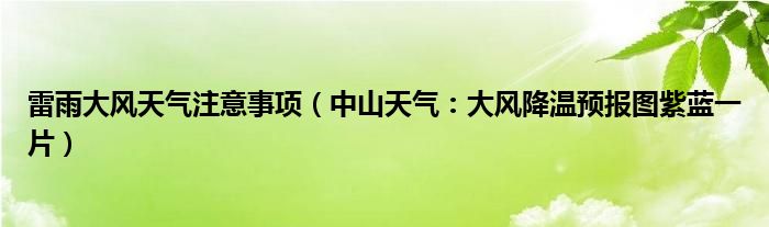 雷雨大风天气注意事项（中山天气：大风降温预报图紫蓝一片）