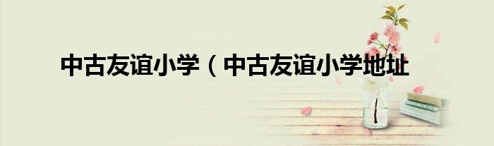 中古友谊小学（中古友谊小学地址