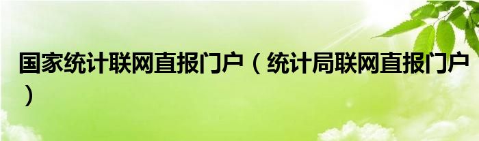 国家统计联网直报门户（统计局联网直报门户）