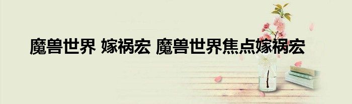 魔兽世界 嫁祸宏 魔兽世界焦点嫁祸宏