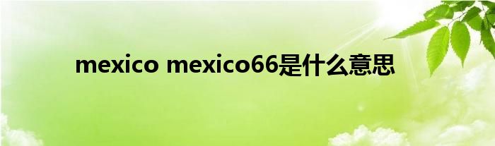 mexico mexico66是什么意思