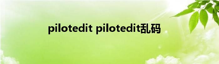 pilotedit pilotedit乱码