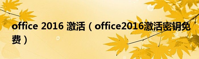 office 2016 激活（office2016激活密钥免费）