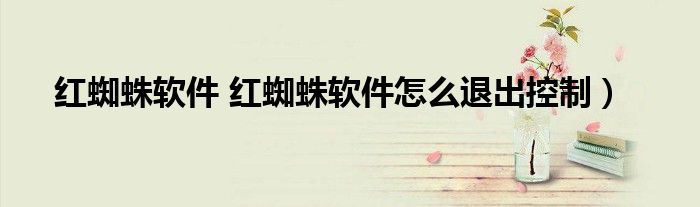 红蜘蛛软件 红蜘蛛软件怎么退出控制）