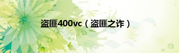 盗匪400vc（盗匪之诈）