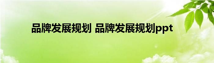 品牌发展规划 品牌发展规划ppt
