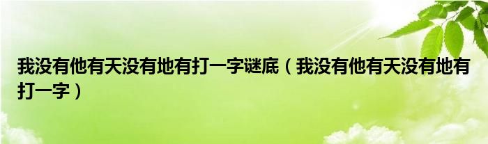 我没有他有天没有地有打一字谜底（我没有他有天没有地有打一字）